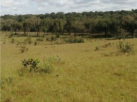 Estudio Villa en venta en Colombia, Santa Rosalia, Vichada, Colombia