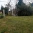  Land for sale in Olavarria, Buenos Aires, Olavarria