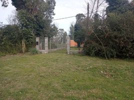  Land for sale in Olavarria, Buenos Aires, Olavarria