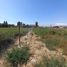  Land for sale in Chile, Coquimbo, Elqui, Coquimbo, Chile