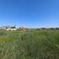  Land for sale in Chile, Coquimbo, Elqui, Coquimbo, Chile