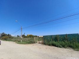  Land for sale in Chile, Coquimbo, Elqui, Coquimbo, Chile