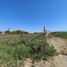  Land for sale in Chile, Coquimbo, Elqui, Coquimbo, Chile