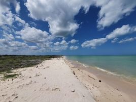 Grundstück zu verkaufen in Celestun, Yucatan, Celestun