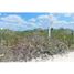 Terrain à vendre à Telchac Puerto, Yucatan, Telchac Puerto