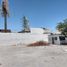  Land for rent in Torreon, Coahuila, Torreon