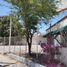  Land for rent in Torreon, Coahuila, Torreon