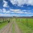  Land for sale in Renaico, Araucania, Renaico