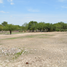  Land for sale in Cerritos, San Luis Potosi, Cerritos, San Luis Potosi