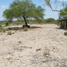  Land for sale in Cerritos, San Luis Potosi, Cerritos, San Luis Potosi