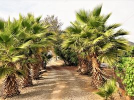  Land for sale in Chile, Limache, Quillota, Valparaiso, Chile