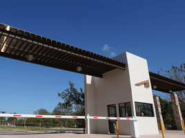  Terreno (Parcela) en venta en Yaxkukul, Yucatán, Yaxkukul