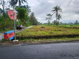  Land for sale in Yogyakarta, Pakem, Sleman, Yogyakarta