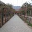  Land for sale in Chile, Vicuna, Elqui, Coquimbo, Chile