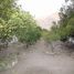  Land for sale in Chile, Vicuna, Elqui, Coquimbo, Chile