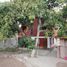  Land for sale in Chile, Vicuna, Elqui, Coquimbo, Chile