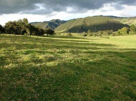  Terreno (Parcela) en venta en La Calera, Cundinamarca, La Calera