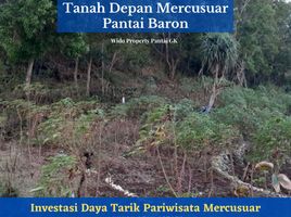  Land for sale in Tepus, Yogyakarta, Tepus, Gunung Kidul