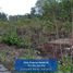  Land for sale in Tepus, Yogyakarta, Tepus, Gunung Kidul
