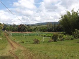 4 Habitación Casa en venta en Valle Del Cauca, Dagua, Valle Del Cauca