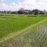  Land for sale in Sukawati, Gianyar, Sukawati