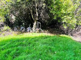  Land for sale in Araucania, Temuco, Cautin, Araucania