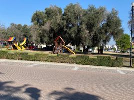  Grundstück zu verkaufen in Irapuato, Guanajuato, Irapuato