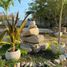  Land for rent in Conkal, Yucatan, Conkal, Yucatan