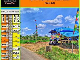  Land for sale in Ngajum, Malang Regency, Ngajum