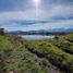  Land for sale in Maldonado, Carchi, Maldonado, Tulcan, Carchi