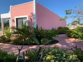 1 Schlafzimmer Haus zu verkaufen in Merida, Yucatan, Merida, Yucatan