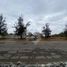  Land for rent in Santiago, Santiago, Santiago, Santiago, Santiago, Chile