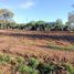  Land for sale in Jesus Maria, Aguascalientes, Jesus Maria