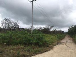  Grundstück zu verkaufen in Chicxulub Pueblo, Yucatan, Chicxulub Pueblo