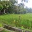  Land for sale in Kerambitan, Tabanan, Kerambitan