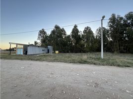  Terreno (Parcela) en venta en Tres Arroyos, Buenos Aires, Tres Arroyos