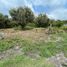  Land for sale in Jiutepec, Morelos, Jiutepec