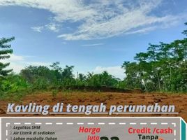  Land for sale in Pakisaji, Malang Regency, Pakisaji