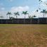  Land for sale in Baranoa, Atlantico, Baranoa