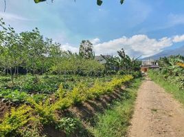  Land for sale in Bumiaji, Malang Regency, Bumiaji