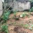  Terreno (Parcela) en venta en Acapulco, Guerrero, Acapulco, Guerrero