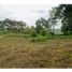  Land for sale in Pereira, Risaralda, Pereira