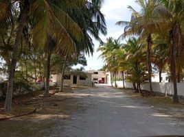 7 Schlafzimmer Haus zu verkaufen in Chicxulub Pueblo, Yucatan, Chicxulub Pueblo