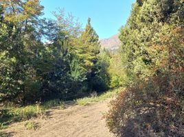  Land for sale in Neuquen, Lacar, Neuquen