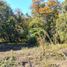  Land for sale in Neuquen, Lacar, Neuquen