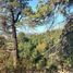  Land for sale in Neuquen, Lacar, Neuquen