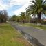  Land for sale in Chacabuco, Santiago, Colina, Chacabuco