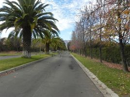  Land for sale in Chacabuco, Santiago, Colina, Chacabuco