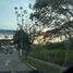 在Coatepec, Veracruz出售的 土地, Coatepec