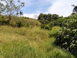  Land for sale in Cavite, Calabarzon, Tagaytay City, Cavite